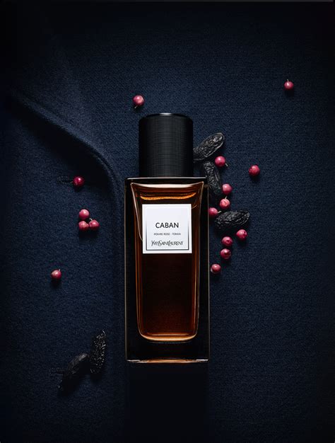 .ysl “caban”